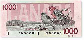      1000 